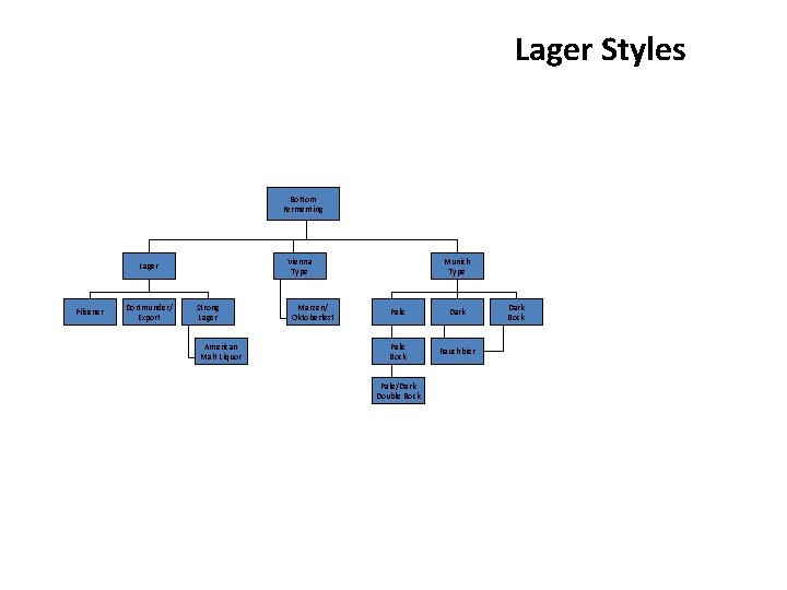 Lager Styles Bottom Fermenting Vienna Type Lager Pilsener Dortmunder/ Export Strong Lager American Malt