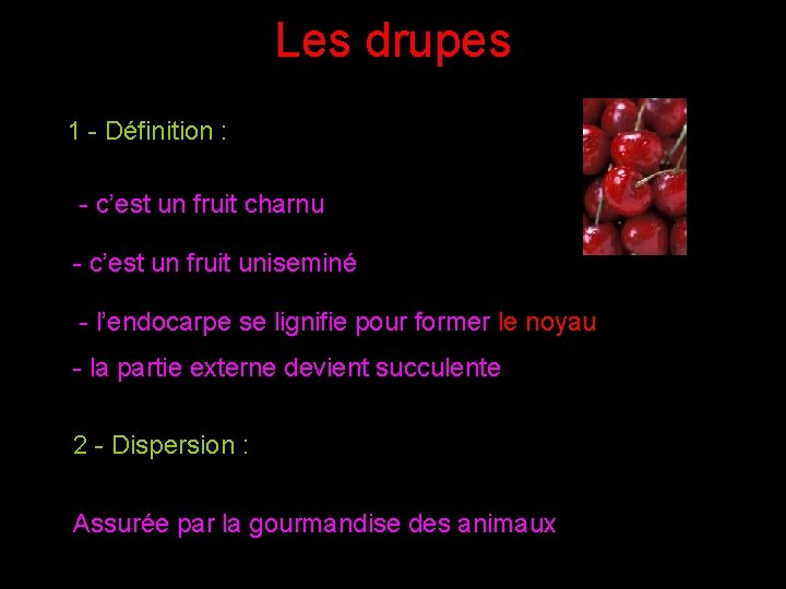 Les drupes 1 - Définition : - c’est un fruit charnu - c’est un Les drupes 1 - Définition : - c’est un fruit charnu - c’est un