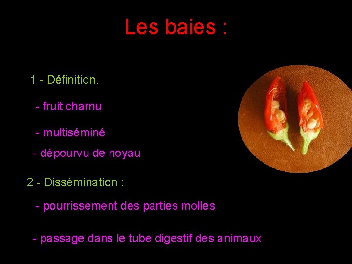 Les baies : 1 - Définition. - fruit charnu - multiséminé - dépourvu de Les baies : 1 - Définition. - fruit charnu - multiséminé - dépourvu de