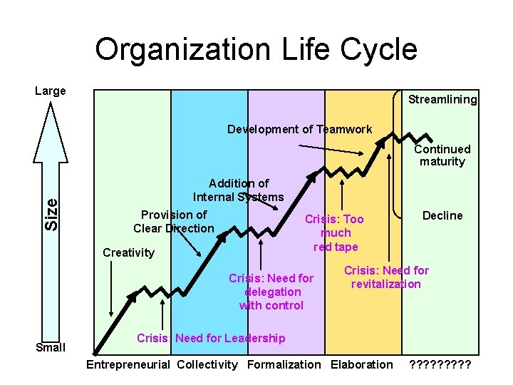 Organization Life Cycle Large Streamlining Development of Teamwork Size Continued maturity Addition of Internal