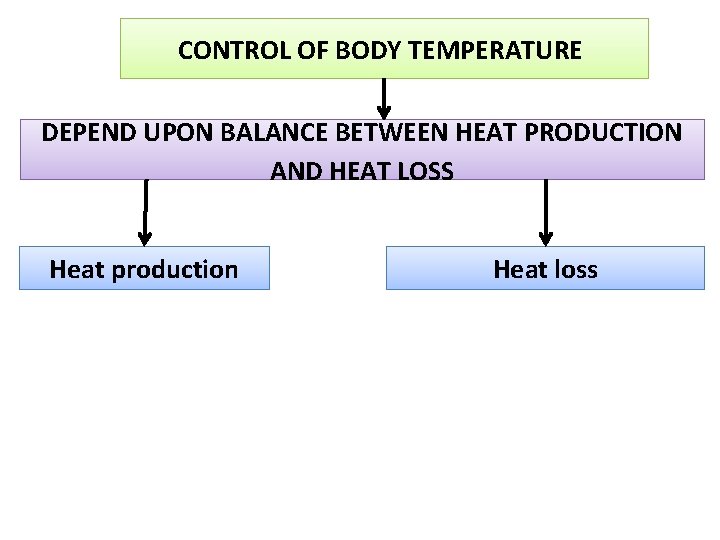 CONTROL OF BODY TEMPERATURE DEPEND UPON BALANCE BETWEEN HEAT PRODUCTION AND HEAT LOSS Heat