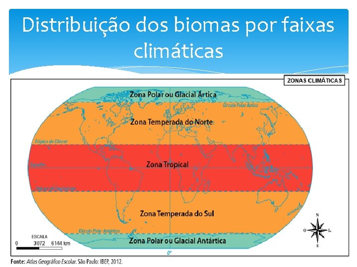 Distribuição dos biomas por faixas climáticas 