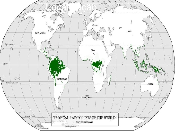 Localização 