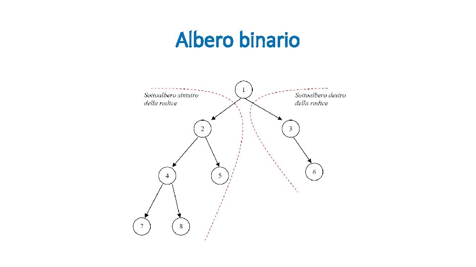 Albero binario 