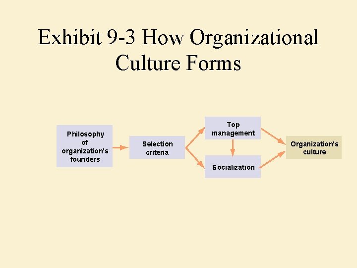 Exhibit 9 -3 How Organizational Culture Forms Philosophy of organization's founders Top management Organization's