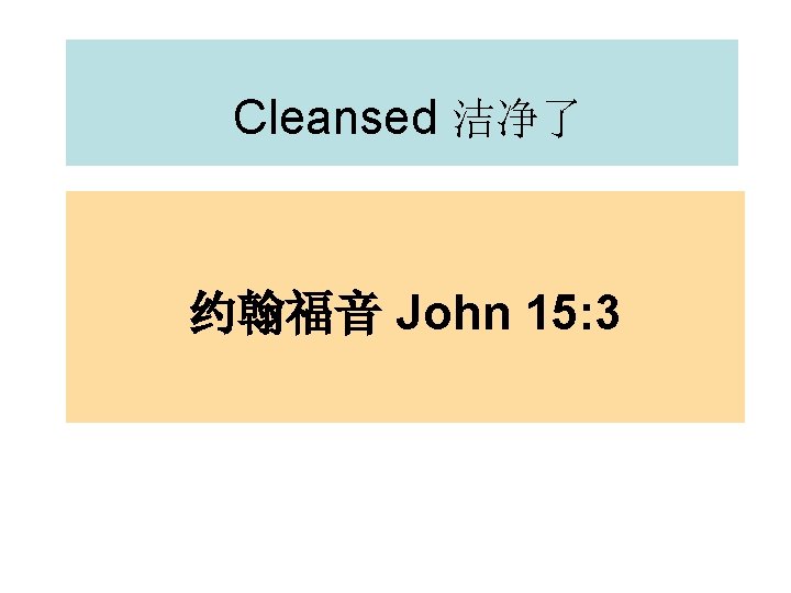 Cleansed 洁净了 约翰福音 John 15: 3 