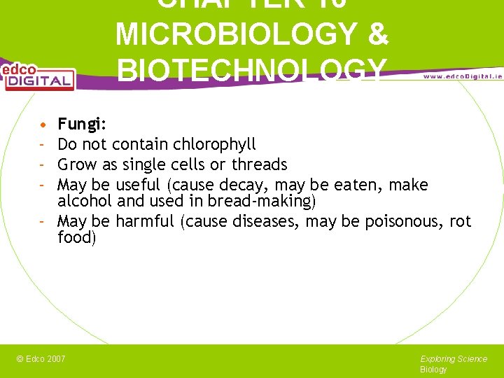 CHAPTER 16 MICROBIOLOGY & BIOTECHNOLOGY • - Fungi: Do not contain chlorophyll Grow as