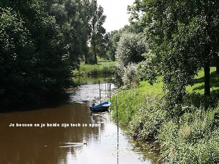 Je bossen en je heide zijn toch zo apart 