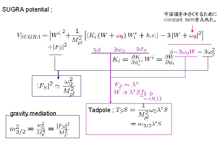 SUGRA potential ; gravity mediation 宇宙項を小さくするために constant termを入れた。 Tadpole ; 