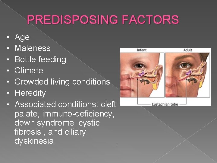 PREDISPOSING FACTORS • • Age Maleness Bottle feeding Climate Crowded living conditions Heredity Associated