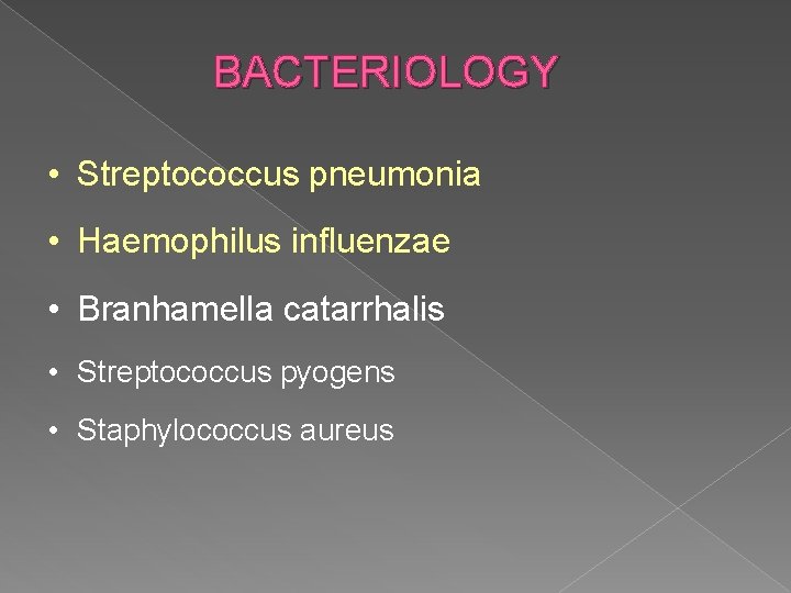 BACTERIOLOGY • Streptococcus pneumonia • Haemophilus influenzae • Branhamella catarrhalis • Streptococcus pyogens •