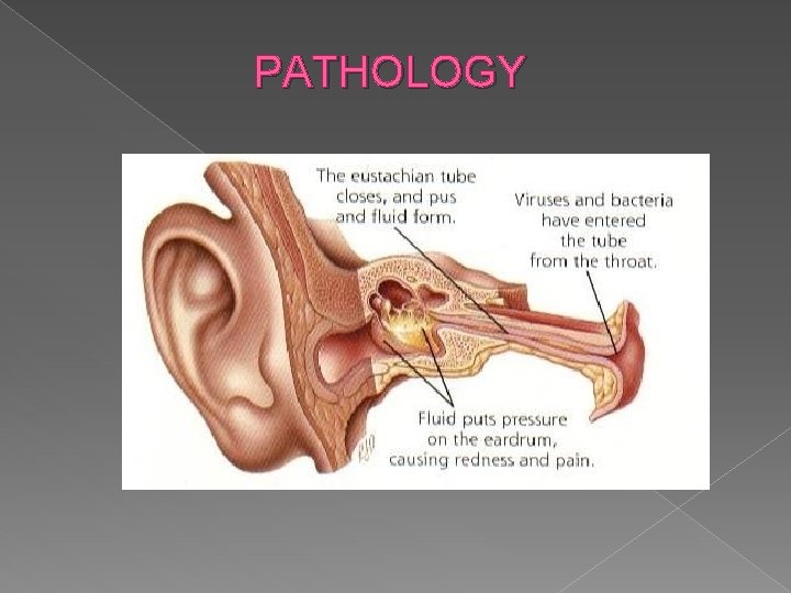 PATHOLOGY 
