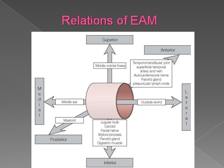 Relations of EAM 