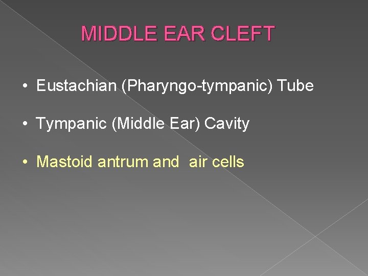 MIDDLE EAR CLEFT • Eustachian (Pharyngo-tympanic) Tube • Tympanic (Middle Ear) Cavity • Mastoid