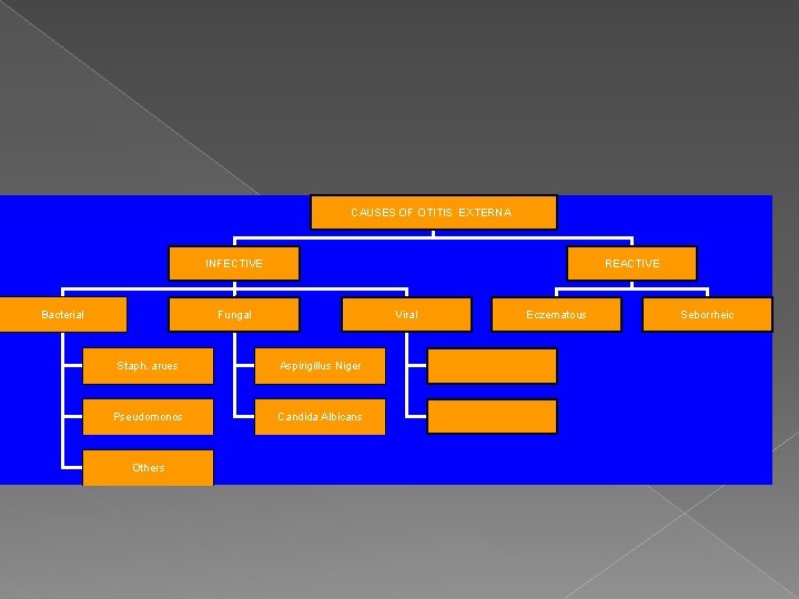 CAUSES OF OTITIS EXTERNA INFECTIVE Bacterial REACTIVE Fungal Viral Staph. arues Aspirigillus Niger Pseudomonos