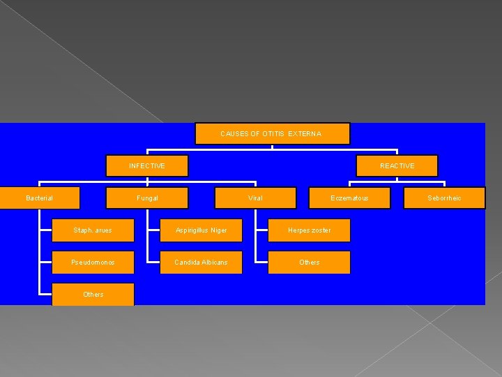 CAUSES OF OTITIS EXTERNA INFECTIVE Bacterial REACTIVE Fungal Viral Eczematous Staph. arues Aspirigillus Niger