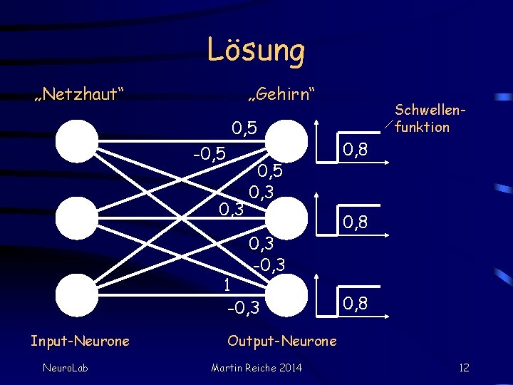 Lösung „Netzhaut“ „Gehirn“ 0, 5 -0, 5 0, 3 -0, 3 1 -0, 3