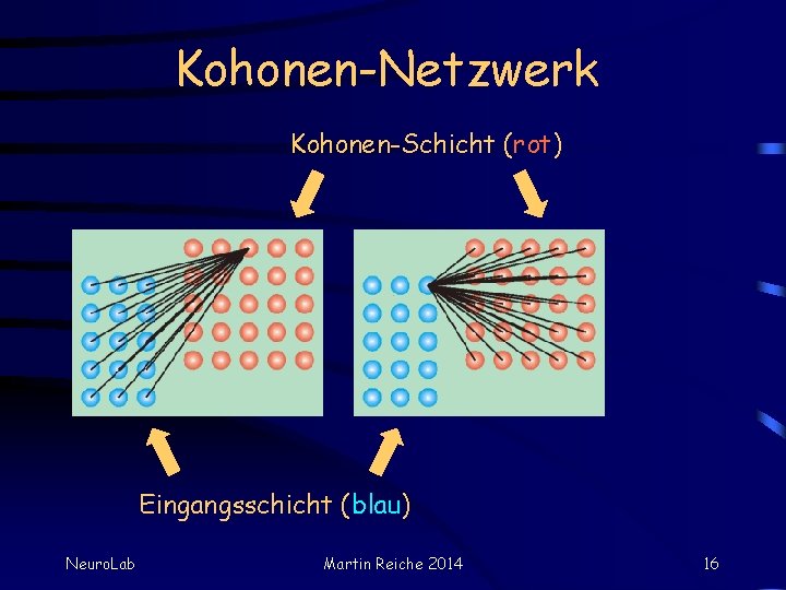 Kohonen-Netzwerk Kohonen-Schicht (rot) Eingangsschicht (blau) Neuro. Lab Martin Reiche 2014 16 