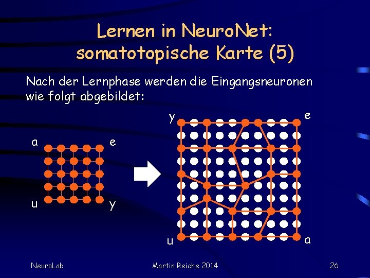 Lernen in Neuro. Net: somatotopische Karte (5) Nach der Lernphase werden die Eingangsneuronen wie