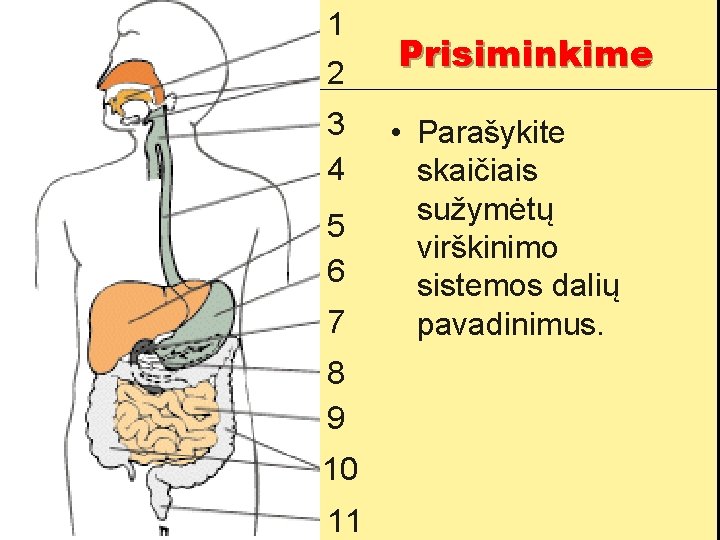 1 2 3 4 5 6 7 8 9 10 11 Prisiminkime • Parašykite