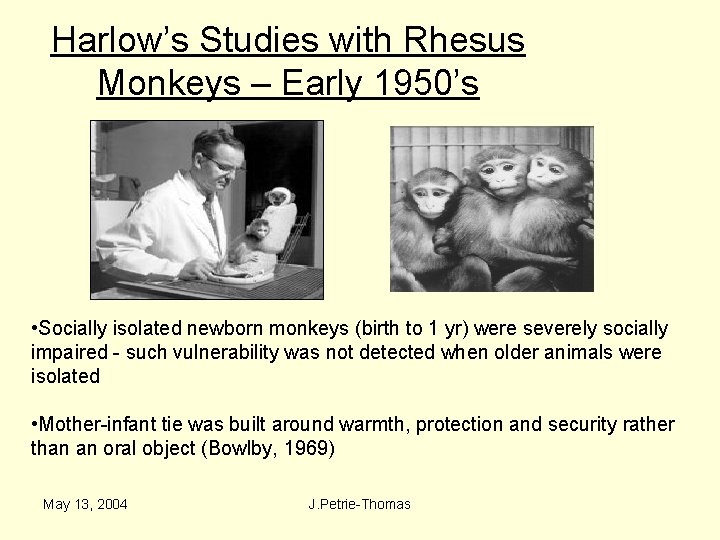 Harlow’s Studies with Rhesus Monkeys – Early 1950’s • Socially isolated newborn monkeys (birth