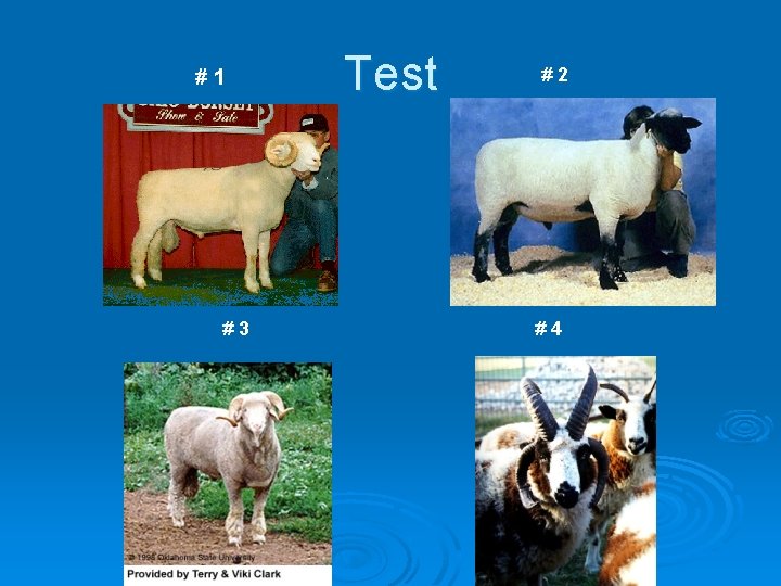 #1 #3 Test #2 #4 
