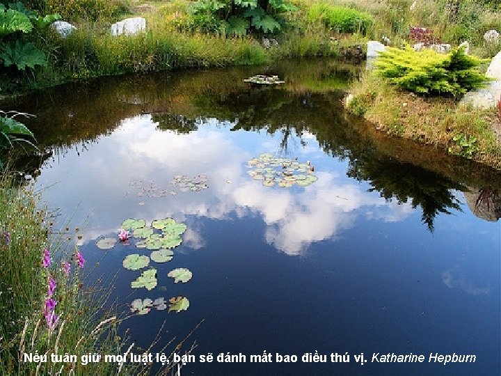 Nếu tuân giữ mọi luật lệ, bạn sẽ đánh mất bao điều thú vị.