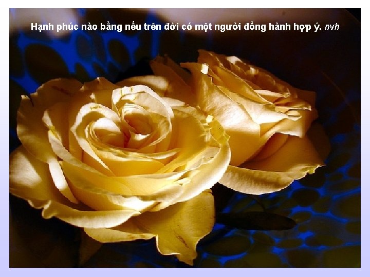 Hạnh phúc nào bằng nếu trên đời có một người đồng hành hợp ý.