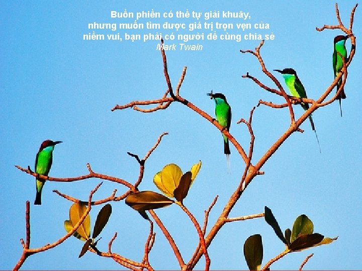 Buồn phiền có thể tự giải khuây, nhưng muốn tìm được giá trị trọn