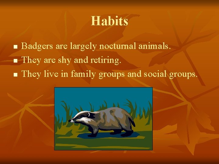 Habits n n n Badgers are largely nocturnal animals. They are shy and retiring.