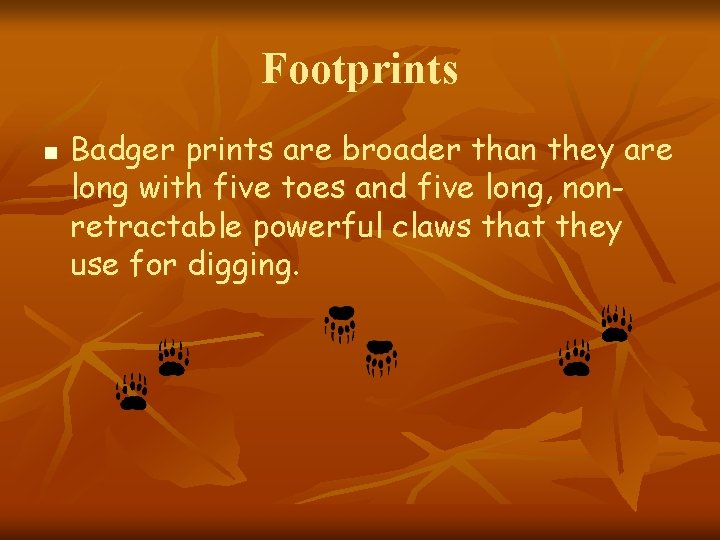 Footprints n Badger prints are broader than they are long with five toes and