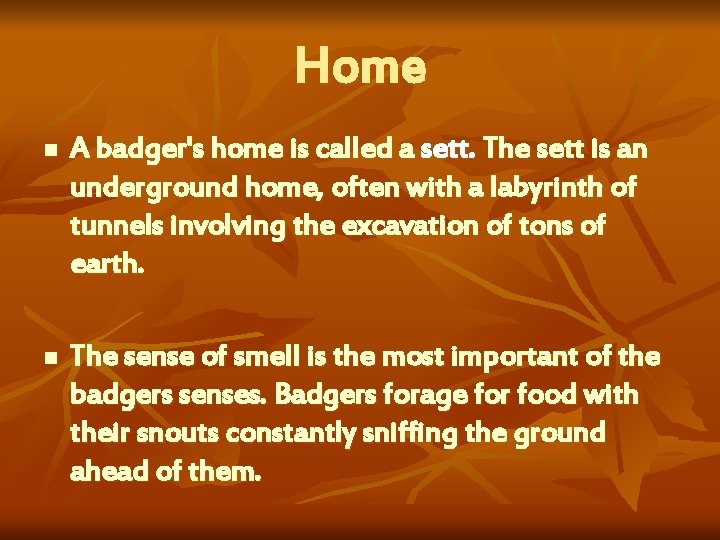 Home n A badger's home is called a sett. The sett is an underground