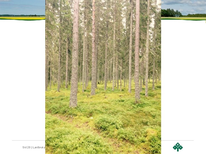 Sid 28 | Lantbrukarnas Riksförbund 