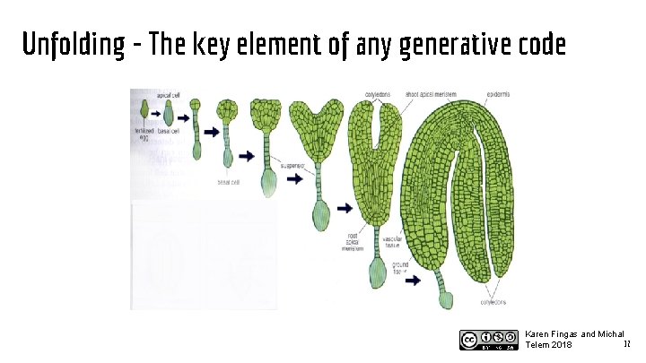Unfolding - The key element of any generative code Karen Fingas and Michal 12