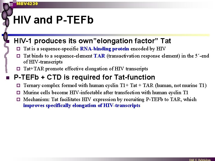 MBV 4230 HIV and P-TEFb n HIV-1 produces its own”elongation factor” Tat is a