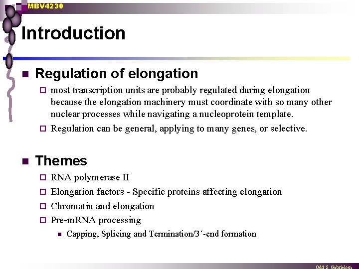 MBV 4230 Introduction n Regulation of elongation most transcription units are probably regulated during