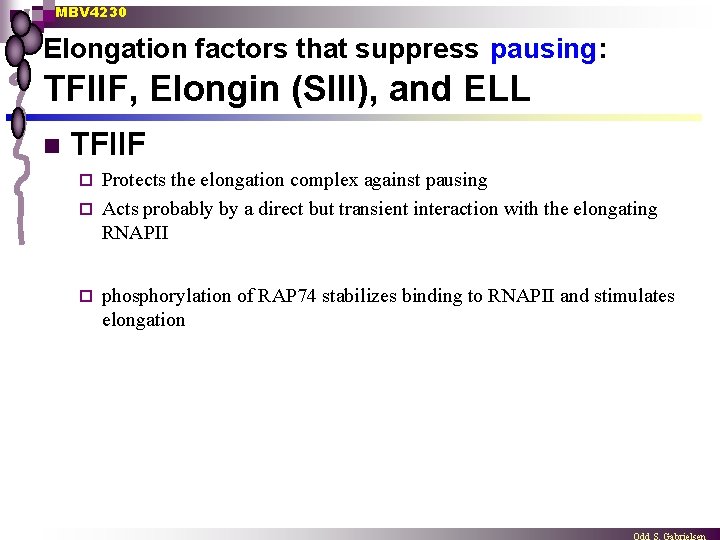 MBV 4230 Elongation factors that suppress pausing: TFIIF, Elongin (SIII), and ELL n TFIIF