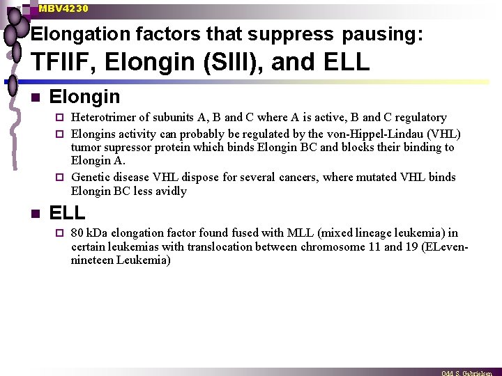 MBV 4230 Elongation factors that suppress pausing: TFIIF, Elongin (SIII), and ELL n Elongin