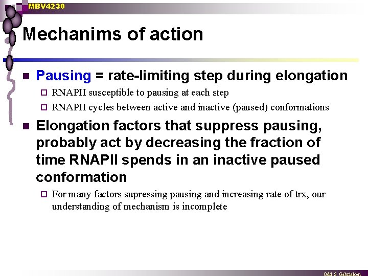 MBV 4230 Mechanims of action n Pausing = rate-limiting step during elongation RNAPII susceptible