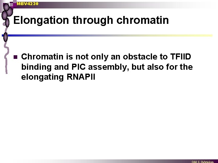MBV 4230 Elongation through chromatin n Chromatin is not only an obstacle to TFIID