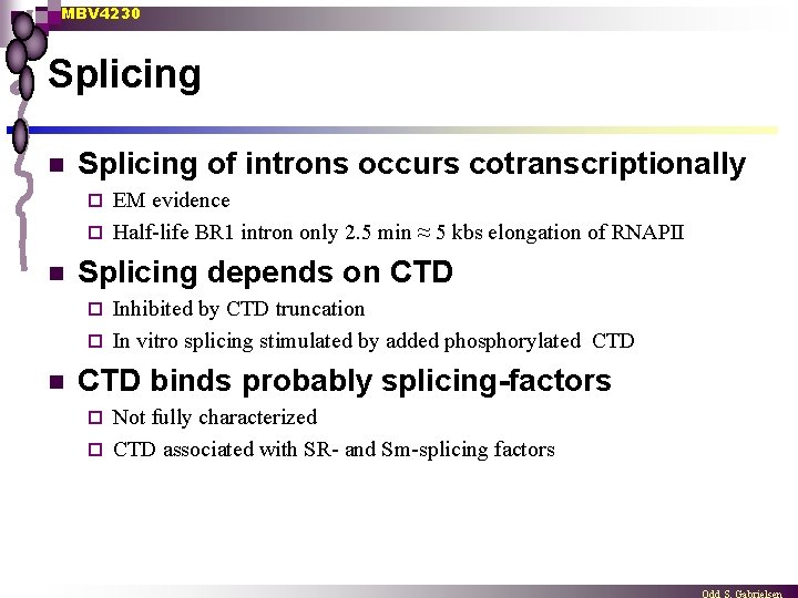 MBV 4230 Splicing n Splicing of introns occurs cotranscriptionally EM evidence ¨ Half-life BR