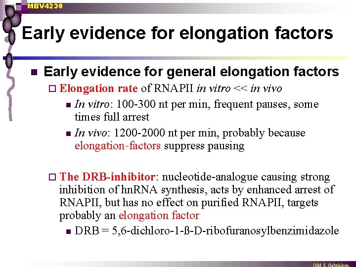 MBV 4230 Early evidence for elongation factors n Early evidence for general elongation factors