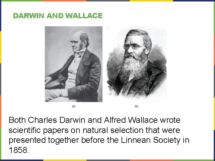 DARWIN AND WALLACE Both Charles Darwin and Alfred Wallace wrote scientific papers on natural