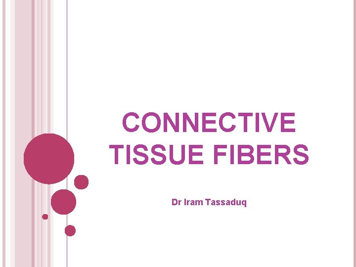 CONNECTIVE TISSUE FIBERS Dr Iram Tassaduq 
