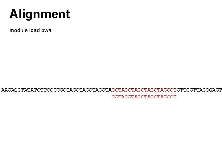 Alignment module load bwa AACAGGTATATCTTCCCCGCTAGCTAGCTAGCTACCCTCTTCCTTAGGGACTG GCTAGCTACCCT 