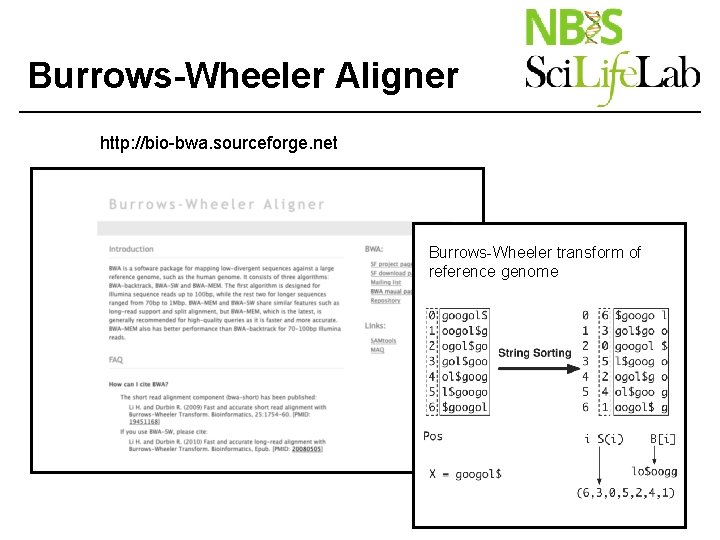 Burrows-Wheeler Aligner http: //bio-bwa. sourceforge. net Burrows-Wheeler transform of reference genome 