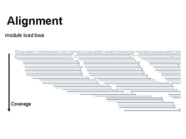 Alignment module load bwa Coverage 