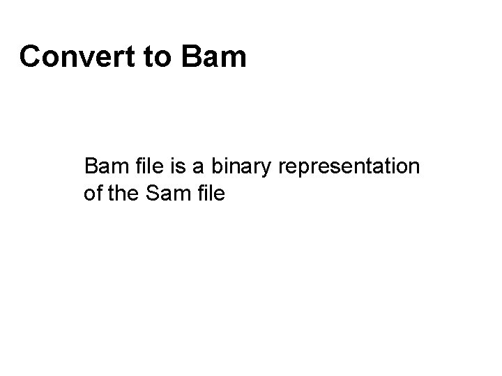 Convert to Bam file is a binary representation of the Sam file 