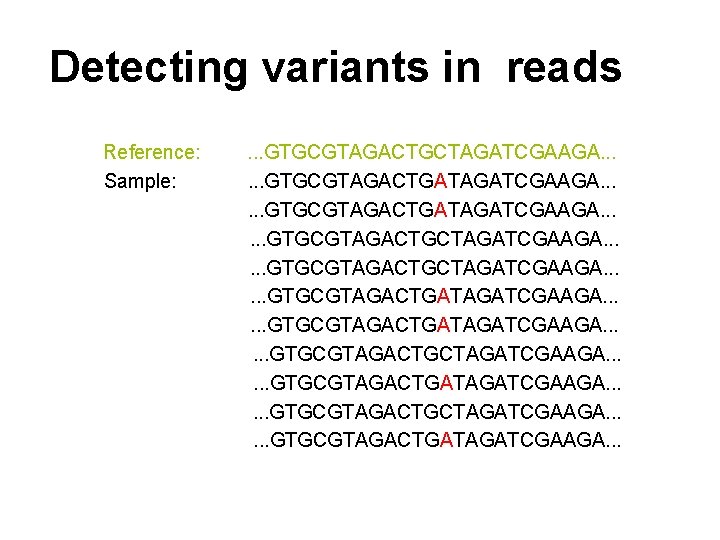 Detecting variants in reads Reference: Sample: . . . GTGCGTAGACTGCTAGATCGAAGA. . . GTGCGTAGACTGATAGATCGAAGA. .