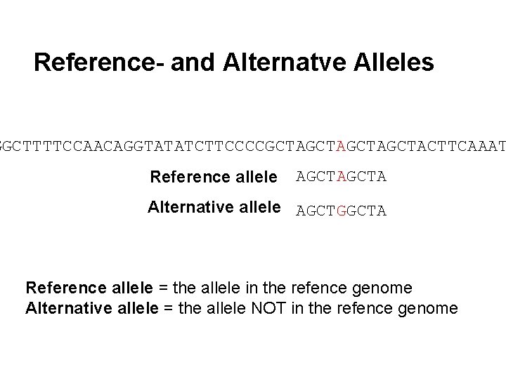 Reference- and Alternatve Alleles GGCTTTTCCAACAGGTATATCTTCCCCGCTAGCTACTTCAAAT Reference allele AGCTA Alternative allele AGCTGGCTA Reference allele =